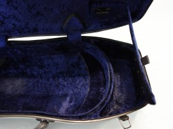 Shaped violin case with carbon