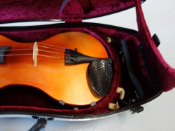 Shaped violin case with carbon