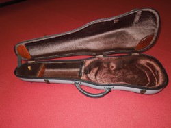 Shaped Violin Case